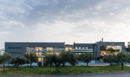 The Bean, the Blend, the Barista: Το τρίπτυχο επιτυχίας για την KAFEA TERRA