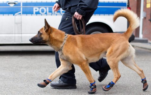 Γερμανία: Εκκενώθηκαν δημαρχεία σε όλη τη χώρα λόγω απειλών για βόμβα