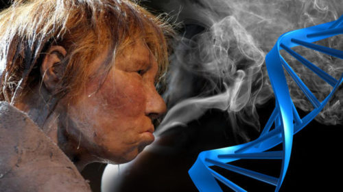 Οι επιστήμονες σχεδιάζουν να πειραματιστούν με μίνι-εγκεφάλους που θα περιέχουν DNA… Νεάντερταλ