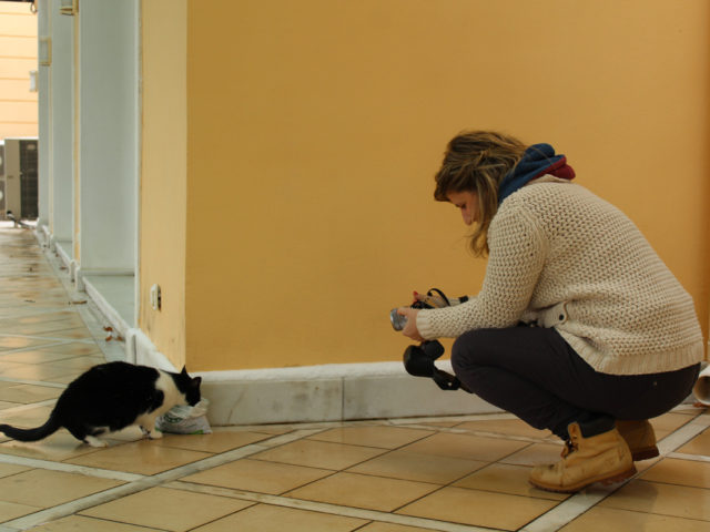 Η δημιουργός του zoosos.gr μιλάει στην Popaganda για τη δραματική κατάσταση που βιώνουν τα ζώα στην Ελλάδα