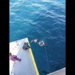 Δραματική διάσωση γυναίκας από τη θάλασσα στον Πειραιά [ΕΙΚΟΝΕΣ]