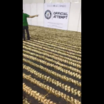 Μία θέση στο Ρεκόρ Γκίνες για τη Νέα Βύσσα για τη μεγαλύτερη πλεξούδα σκόρδων μήκους 612 μέτρων και 70 εκατοστών [ΒΙΝΤΕΟ]