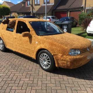 Άνδρας έντυσε αυτοκίνητο με γούνα για να κυκλοφορεί με τα κατοικίδιά του