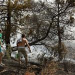 Μεγάλη φωτιά στο άλσος Συγγρού κοντά στο ΚΑΤ [ΒΙΝΤΕΟ]