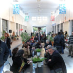 Η Δημοτική Αγορά Κυψέλης στη Φωκίωνος Νέγρη επιστρέφει