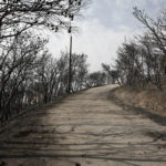 Στους 82 ο αριθμός των νεκρών – Συνεχίζεται η αγωνία για τους αγνοούμενους