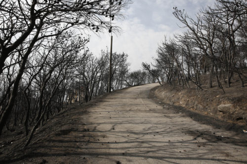 Στους 82 ο αριθμός των νεκρών – Συνεχίζεται η αγωνία για τους αγνοούμενους
