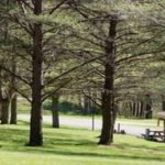 Επαναλειτουργούν την Κυριακή 29 Ιουλίου οι κατασκηνώσεις στον Άγιο Ανδρέα