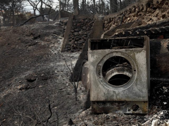«Μετά, δεν χρειάζονται αντιπλημμυρικά έργα, ούτε αναδασώσεις»