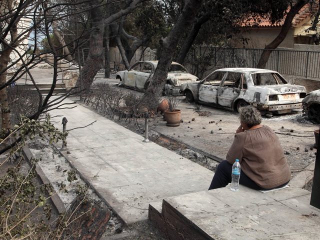 Ρωτήσαμε τη WWF πώς θα θωρακιστούμε για το μέλλον ώστε να μην θρηνήσουμε κι άλλες ανθρώπινες ζωές