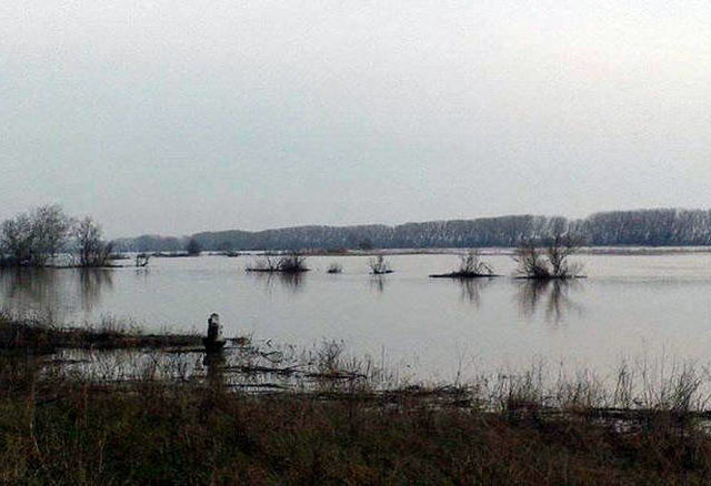 Τέσσερις Τούρκοι υπήκοοι συνελήφθησαν στον Έβρο