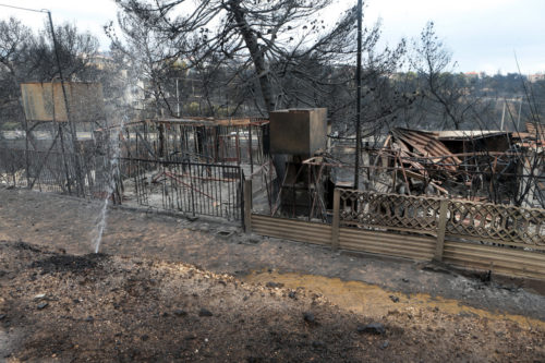 Η ανακοίνωση της WWF για τις καταστροφικές πυρκαγιές στην Αττική