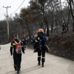 Συστάσεις της ΓΕΝΟΠ προς τους καταναλωτές για τις πυρκαγιές
