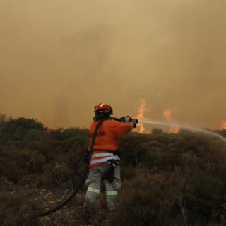 Ελλάδα: Πάνω από 30 πυρκαγιές το τελευταίο 24ωρο
