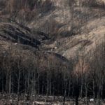 Στους 97 οι νεκροί από την πυρκαγιά στην ανατολική Αττική