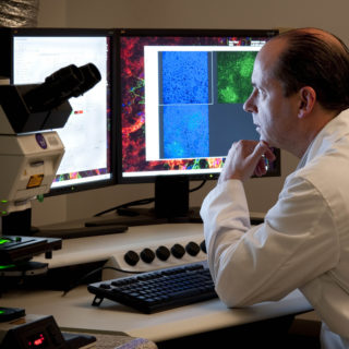 Νέο σύστημα τεχνητής νοημοσύνης μπορεί να κάνει ορθές νευρολογικές διαγνώσεις-εξπρές