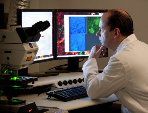 Επιστήμονες βρήκαν τρόπο για πρώτη φορά να μετατρέπουν ανοιχτά τραύματα απευθείας σε νέο υγιές δέρμα