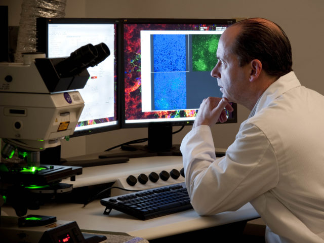 Συνδυασμός φαρμάκων εξαφάνισε καρκινικούς όγκους σε πειραματόζωα