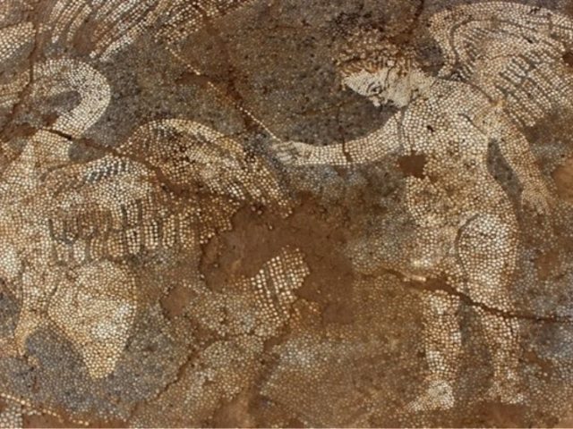 Ψηφιδωτό από τον 4ο π.Χ. αιώνα αποκαλύφθηκε στο Μικρό Θέατρο της Αμβρακίας