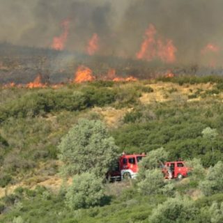 Εύβοια: Μάχη στα περιφερειακά μέτωπα για να περιοριστεί η επέκταση της φωτιάς