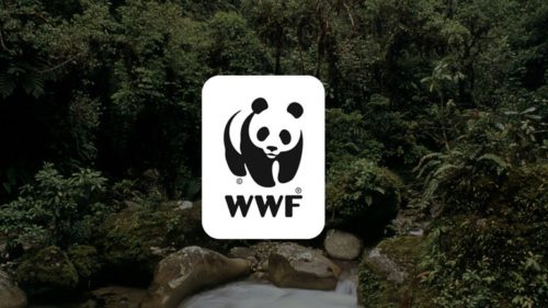 Εκστρατεία του WWF ενάντια στην εξόρυξη πετρελαίου και φυσικού αερίου στην Ελλάδα