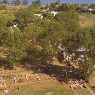 Στο φως, 101 χρόνια μετά τον πρώτο εντοπισμό της, η Νότια Παλαίστρα στην Ερέτρια