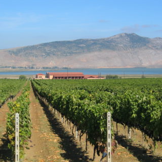 Κοζάνη: Όταν η επιχειρηματικότητα παίρνει τη θέση του λιγνίτη