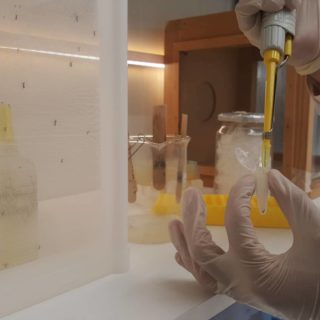 Thessaly Science Festival: Επιστήμη και Καινοτομία στη Λάρισα