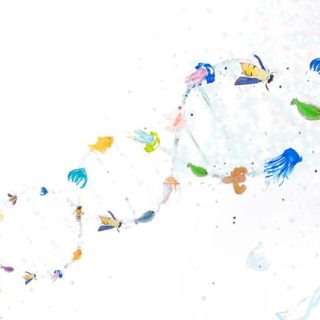 «Αυτό το σώμα της γης, το σώμα μου. Μύθοι, γενετική και γέννηση» της Κλεώνης Μανουσάκη