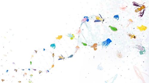 «Αυτό το σώμα της γης, το σώμα μου. Μύθοι, γενετική και γέννηση» της Κλεώνης Μανουσάκη