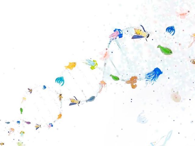 «Αυτό το σώμα της γης, το σώμα μου. Μύθοι, γενετική και γέννηση» της Κλεώνης Μανουσάκη