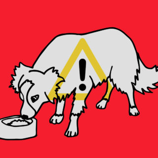 Κατοικίδια: Όλα όσα χρειάζεται να ξέρετε για τις φόλες