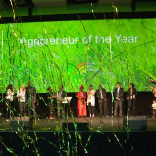 Υπάρχει μια εταιρεία που στέλνει δέντρα ελιάς από τη χώρα μας σε όλο τον κόσμο