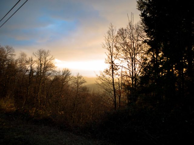 Αναζητώντας την Γαλλία