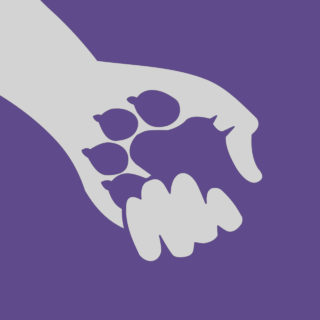 Κι αν μια μέρα χρειαστεί να κάνεις στο κατοικίδιό σου ευθανασία;