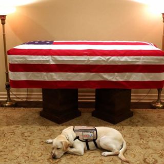 Πιστός μέχρι το τέλος: Η συγκινητική φωτογραφία του σκύλου του Τζορτζ Μπους