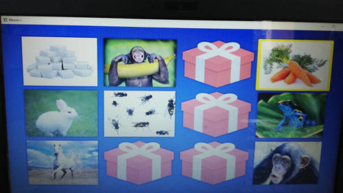 Ηλεκτρονικά παιχνίδια για τυφλά παιδιά, μία καινοτόμα εφαρμογή για όλους