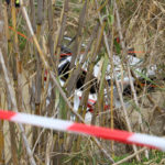 Σήμερα οι κηδείες των τεσσάρων θυμάτων της τραγωδίας στον Γεροπόταμο