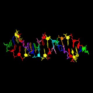 Δημιουργήθηκε για πρώτη φορά DNA με οκτώ «γράμματα» του γενετικού αλφαβήτου