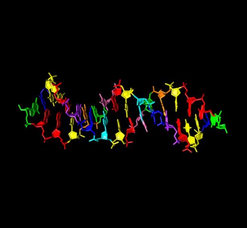 Δημιουργήθηκε για πρώτη φορά DNA με οκτώ «γράμματα» του γενετικού αλφαβήτου
