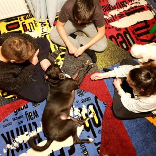 Σκύλος και Παιδιά: Μια ιδιαίτερη σχέση που χρειάζεται προσοχή