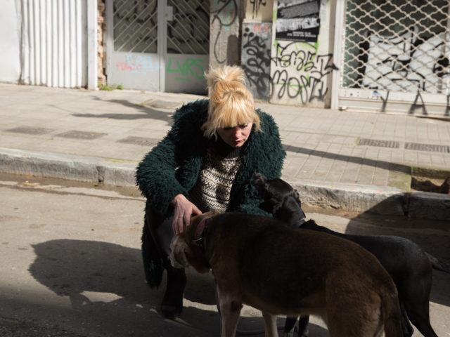 Η Συγκροτημένη Αταξία της Θεοδώρας Τζήμου