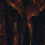 Το Λος Άντζελες ψηφίζει υπέρ της απαγόρευσης της γούνας