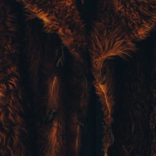 Το Λος Άντζελες ψηφίζει υπέρ της απαγόρευσης της γούνας