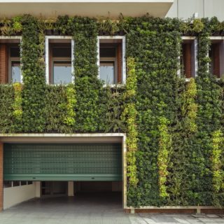 Ο κάθετος κήπος της Θεσσαλονίκης