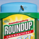 Γλυφοσάτη: Το συστατικό που βρίσκεται σε ζιζανιοκτόνα στο στόχαστρο της δικαιοσύνης από τις ΗΠΑ ως τη Σρι Λάνκα