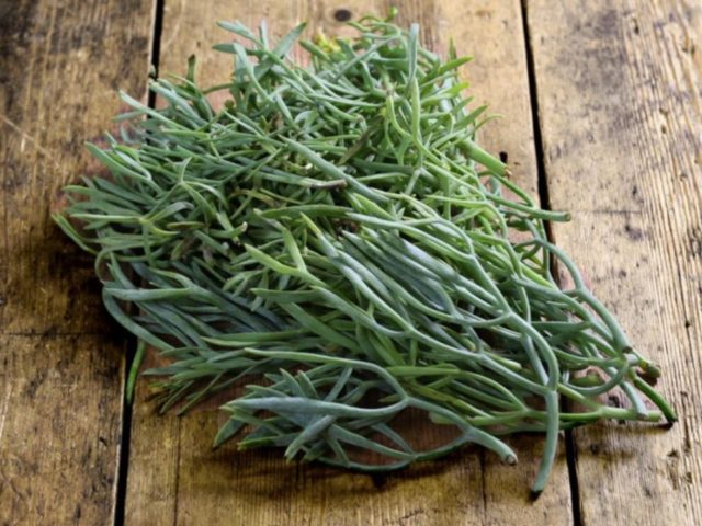 Γιατί σε λίγο καιρό όλοι θα μιλάνε για το κρίταμο