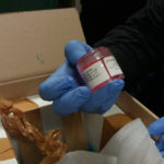 Αναστάτωση στον αερολιμένα «Μακεδονία» μετά τον εντοπισμό μοσχεύματος σε αποσκευή.