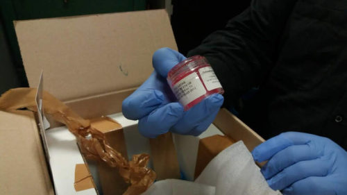 Αναστάτωση στον αερολιμένα «Μακεδονία» μετά τον εντοπισμό μοσχεύματος σε αποσκευή.