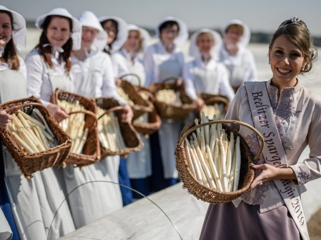 Ξεκίνησε η Σεζόν των Σπαραγγιών στη Γερμανία